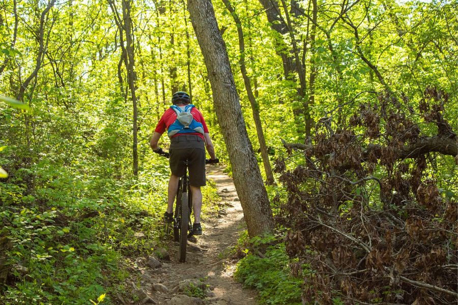 ciclista en bici por el bosque